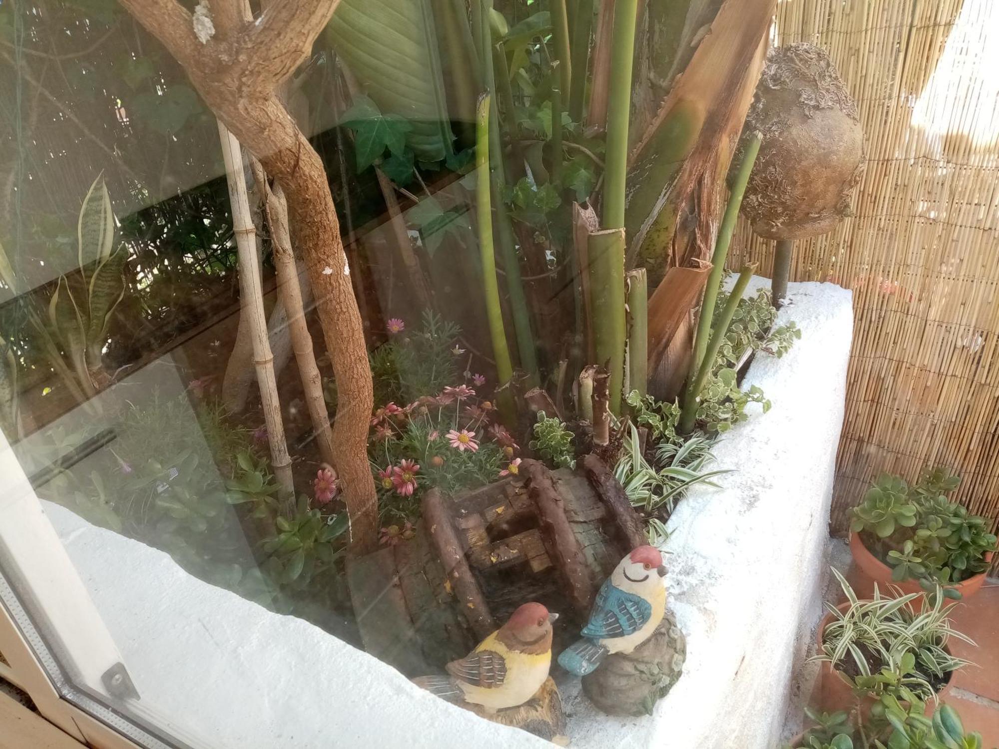 Casa Rustica - Courtyard House