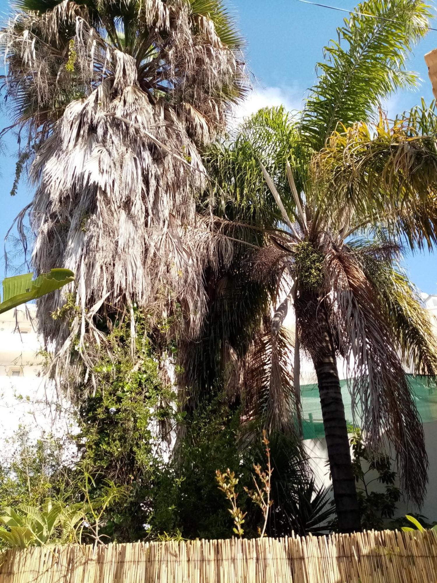 Casa Rustica *